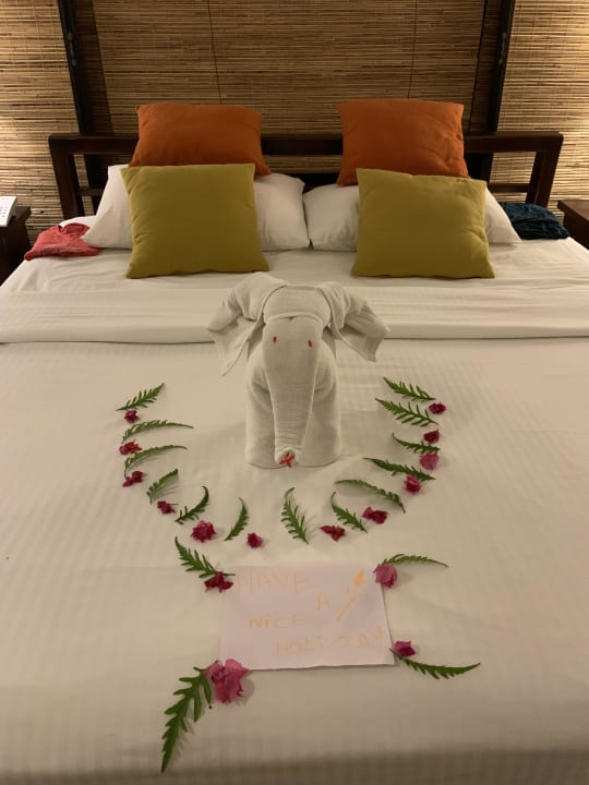 Zimmer Habarana Village by Cinnamon