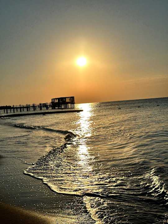 Pool Papillon Zeugma Relaxury