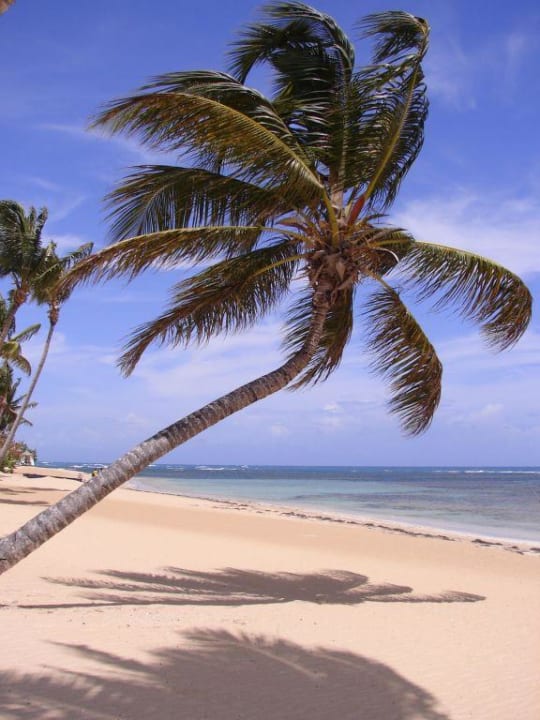 Einsamer Strand Bahia Principe Grand El Portillo