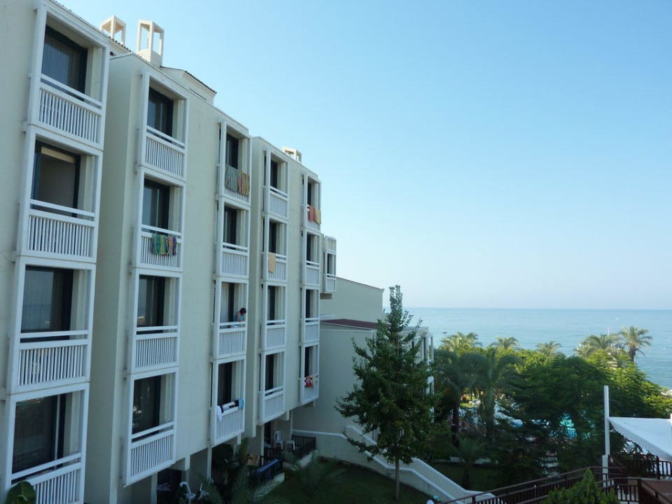 Sentido PALOMA Perissia