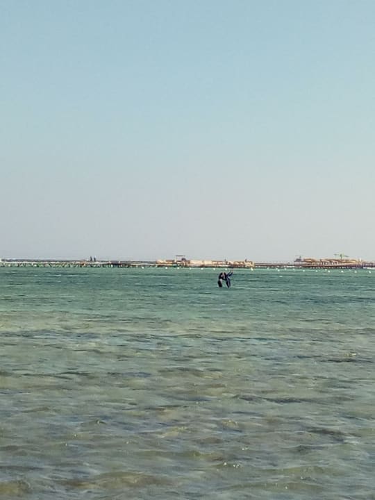 Mein Mann in Action Pickalbatros Royal Moderna Resort-Sharm El Sheikh