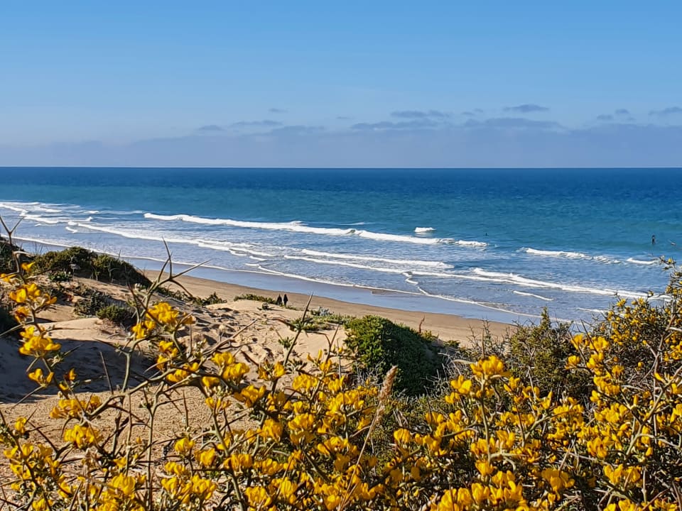 Strand Aldiana Club Andalusien