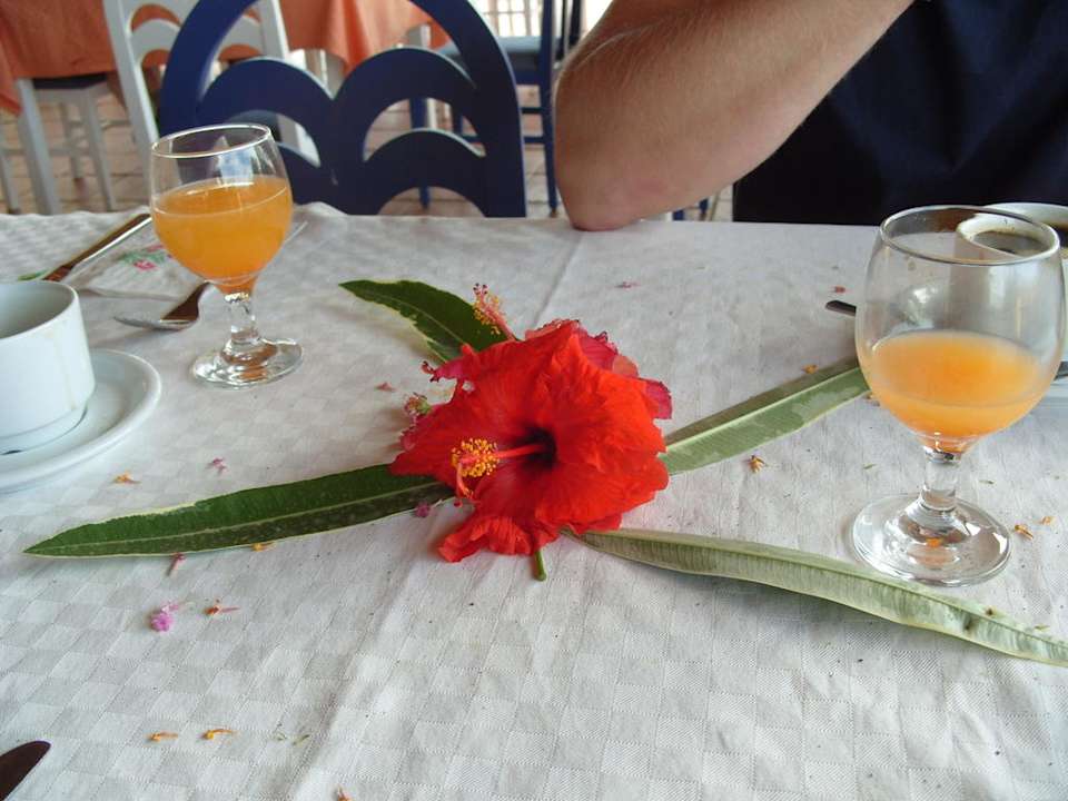 Unser Frühstückstisch Hawai Beach Club