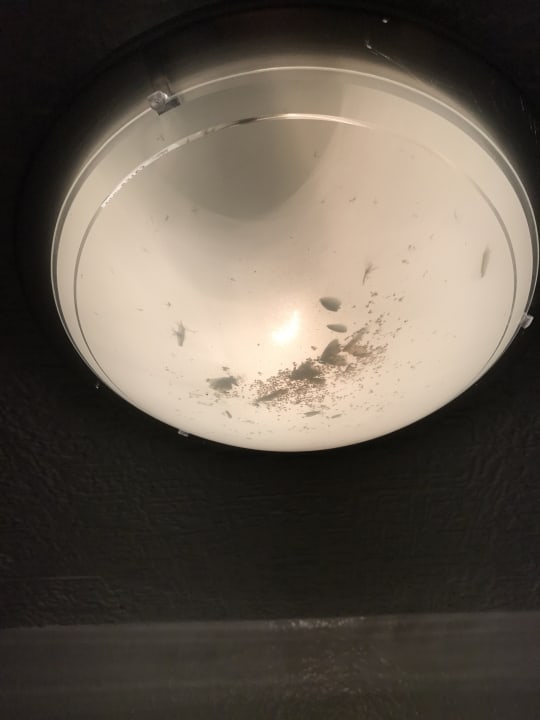 Zimmer Pension Am Deich