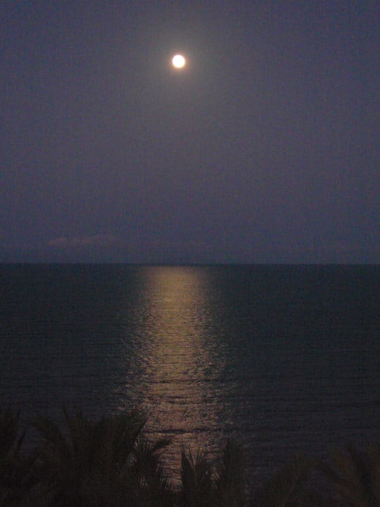 Mondschein im August Pestana Grand Ocean Resort