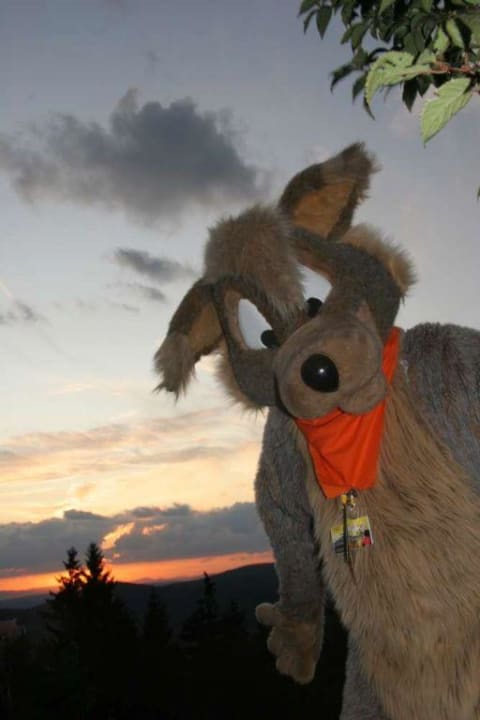 Coyote costume and sunset Ringberg Hotel