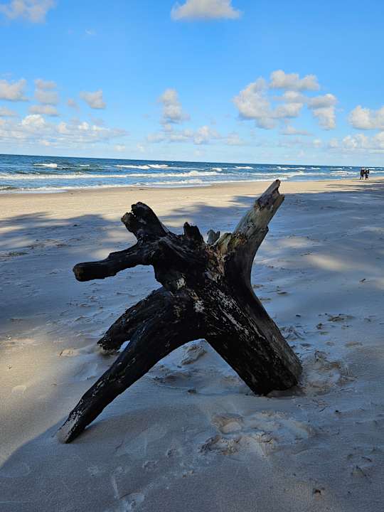 Strand Ferienanlage Vierjahreszeiten