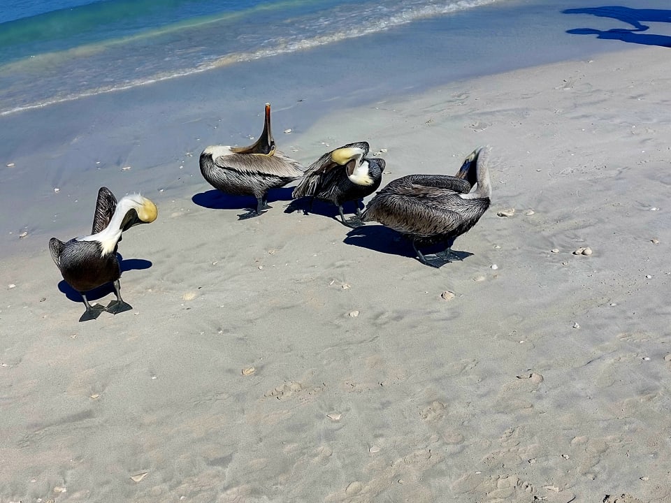 Strand Paradisus Varadero Resort & Spa