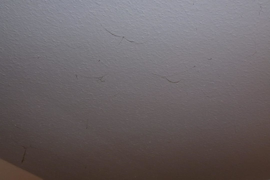 Spinnweben an der Decke Flair Hotel Weinstube Lochner