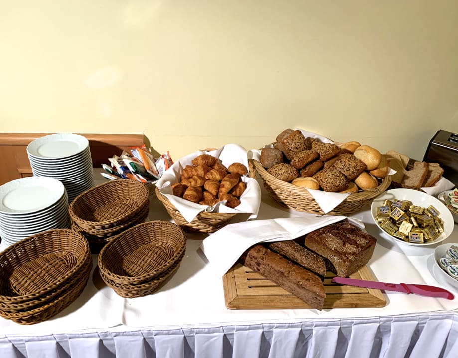 Gastro Hotel Luther Birke Wittenberg