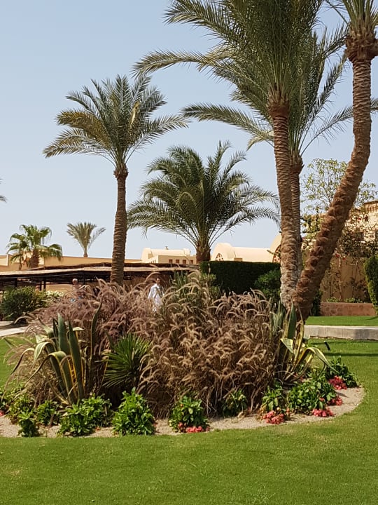 Gartenanlage Steigenberger Coraya Beach - Adults only