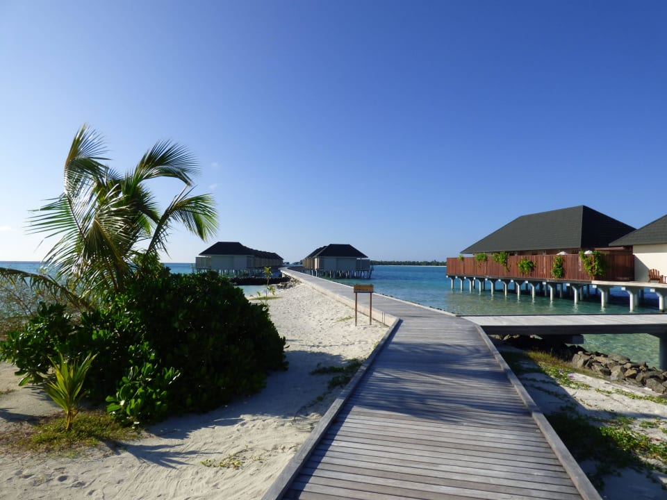 Wasserbungalows  Summer Island Maldives