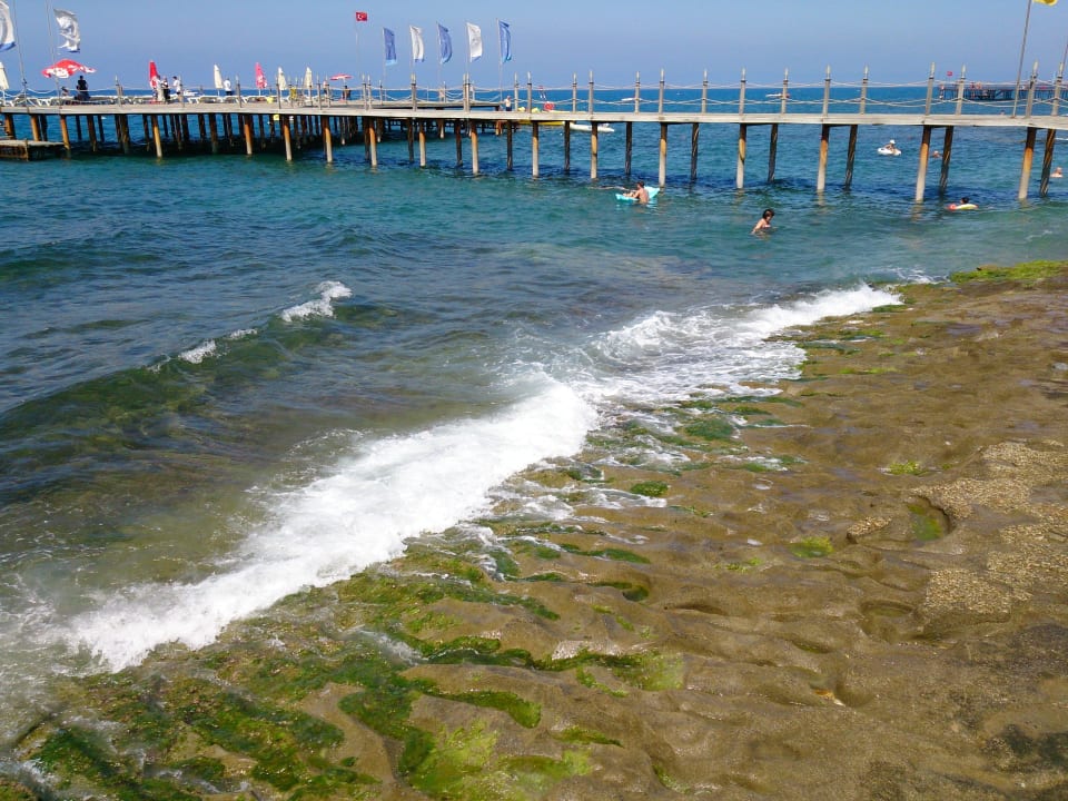 Sehr grün ^^ Dizalya Palm Garden