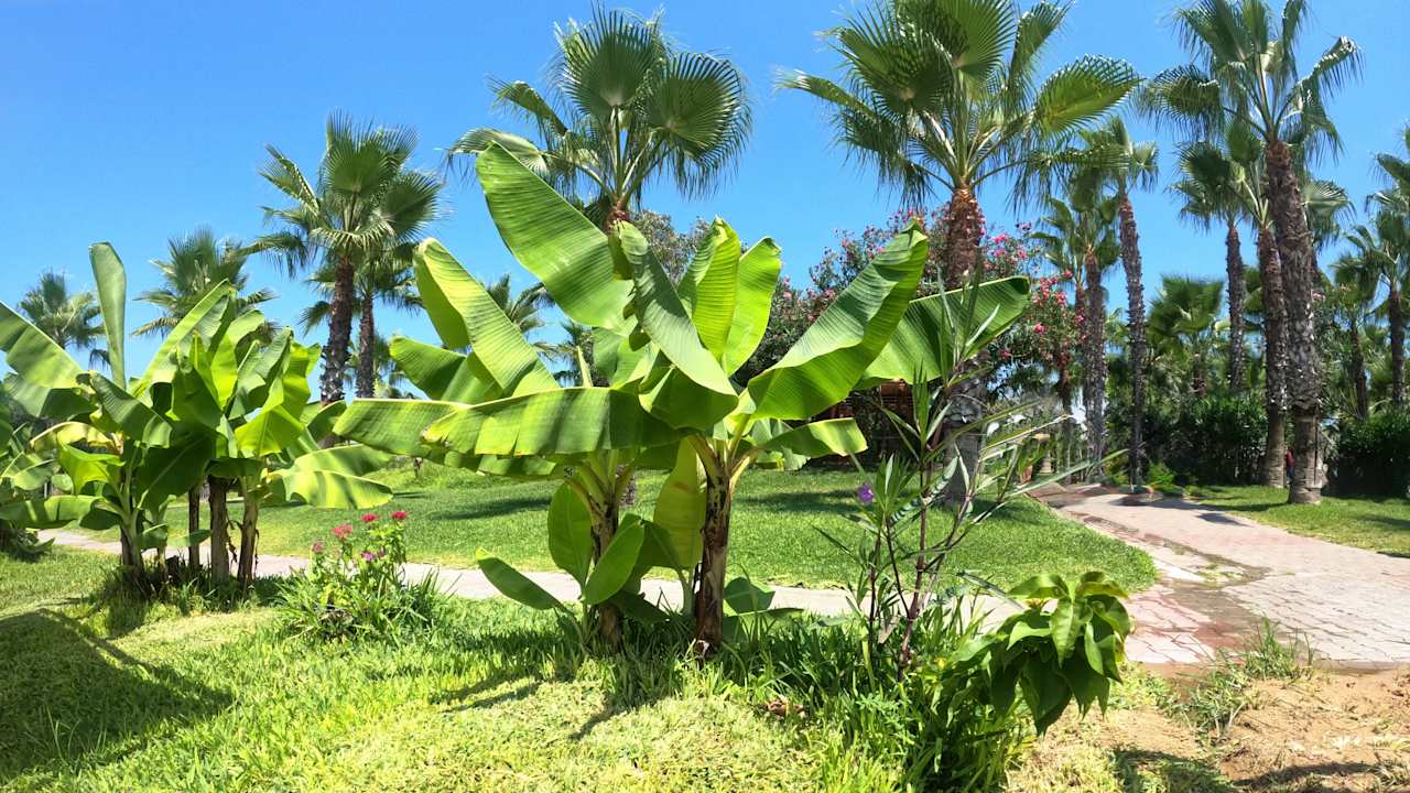 Außenansicht Hotel Süral Resort