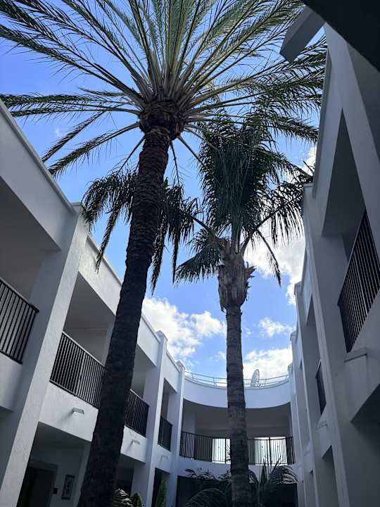 Ausblick Hotel Riu Palace Maspalomas Adults Only