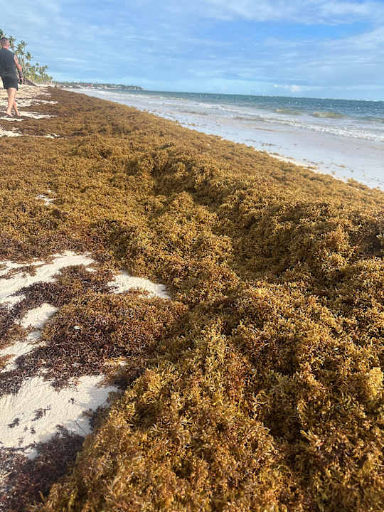 Strand Grand Palladium Punta Cana Resort & Spa