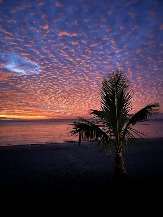 Strand Pearle Beach Resort & Spa