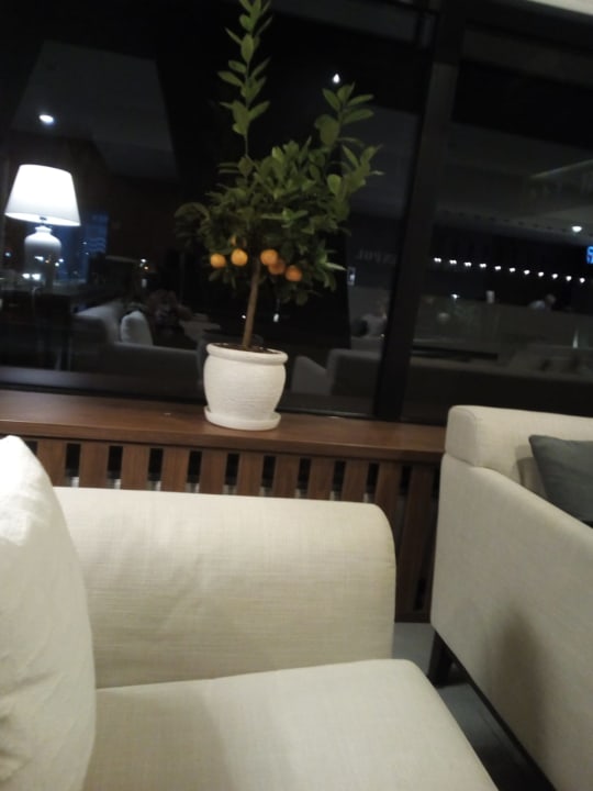 Lobby Hotel New Skanpol