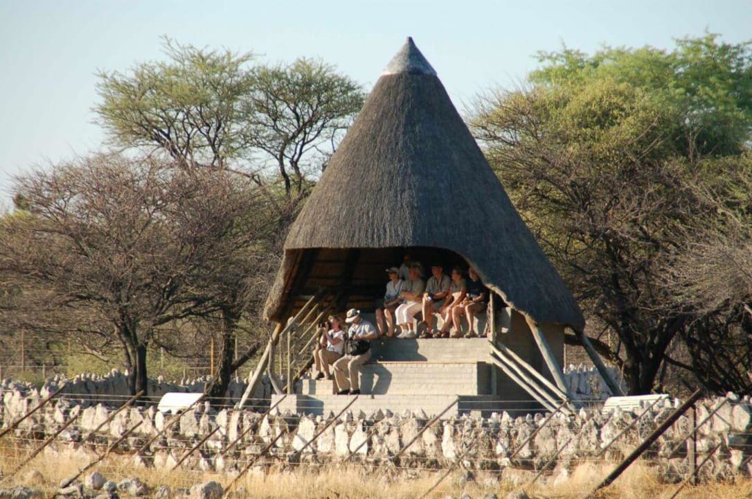 Game viewing at the waterhole Okaukuejo Camp