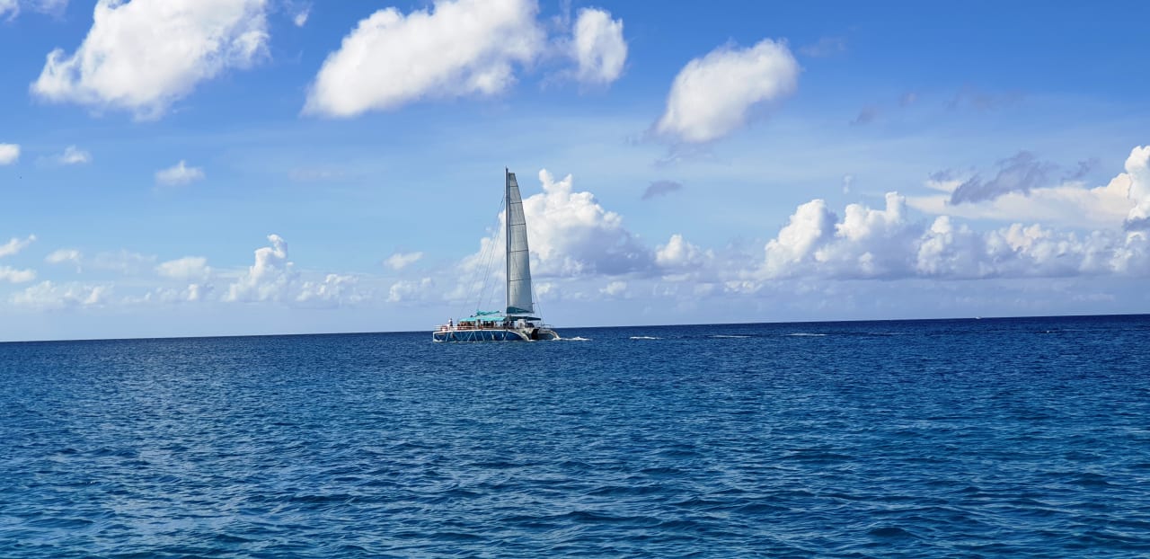 Ausblick Bahia Principe Luxury Bouganville