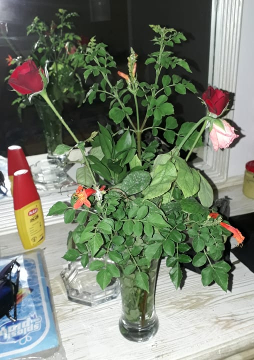 Zimmer Hotel Neptunia Skanes