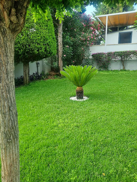 Gartenanlage Aydinbey Kings Palace & Spa