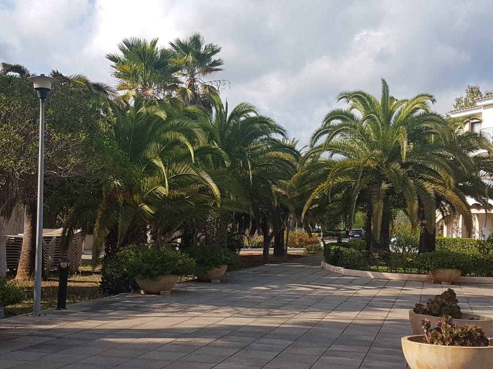 Gartenanlage Hipotels Mediterraneo Club