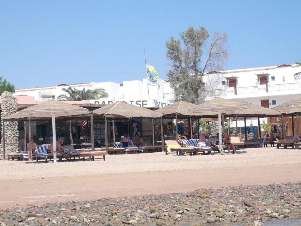 Tauchbasis Eagles Paradise Abu Soma