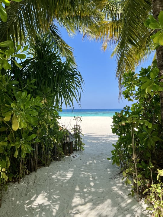 Strand Conrad Maldives Rangali Island