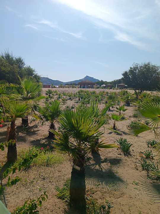 Gartenanlage TUI BLUE Sarigerme Park