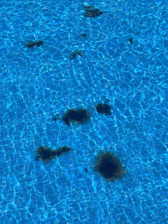 Pool Hotel Riu Touareg