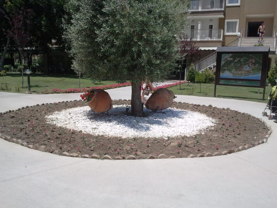 Jardin Marvida Family Eco