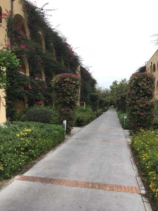 Gartenanlage TUI MAGIC LIFE Calabria