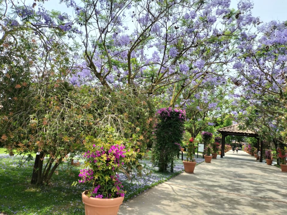 Gartenanlage TUI MAGIC LIFE Calabria