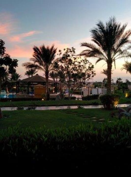 Blick auf Pool JAZ Neo Saraya Palms