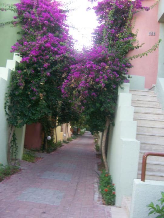 Entlang der Bungalowanlage VONRESORT Golden Beach