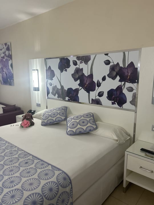 Zimmer Hotel Riu Playacar