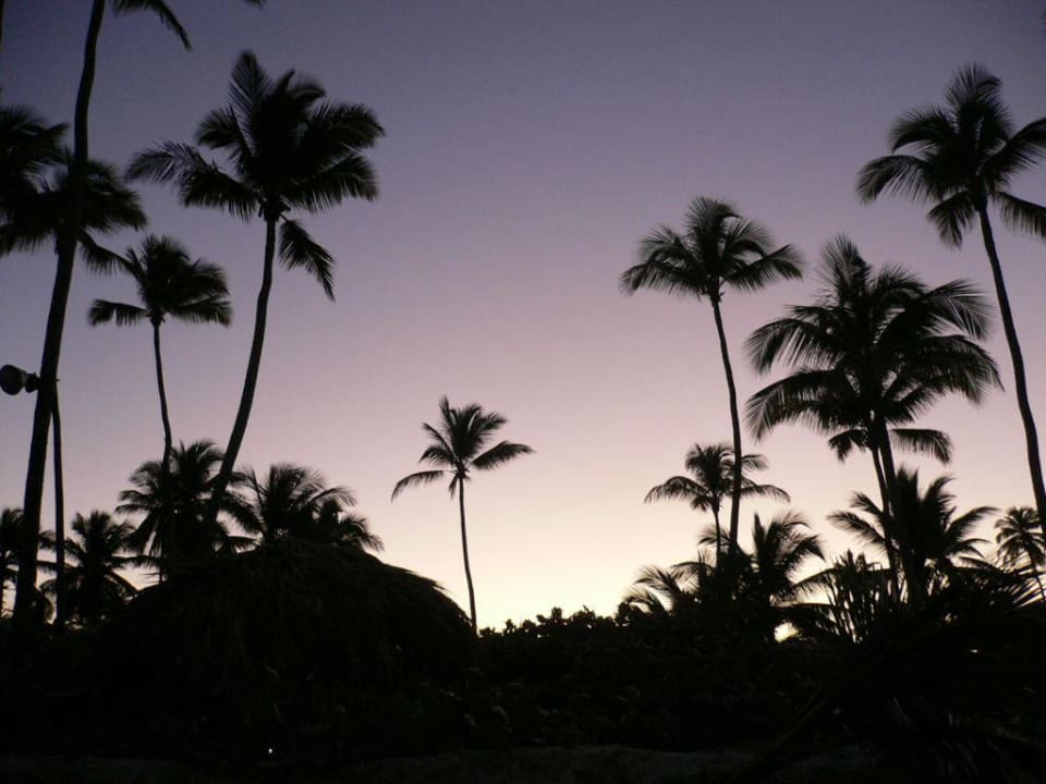 Sonnenuntergang Hotel Grand Palladium Palace Resort, Spa & Casino