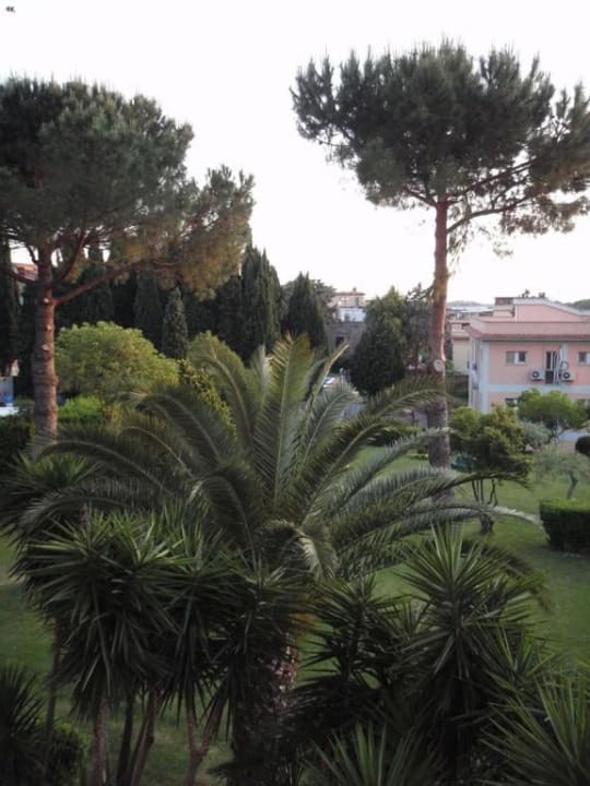 Ausblick vom Balkon Hotel Parco Tirreno