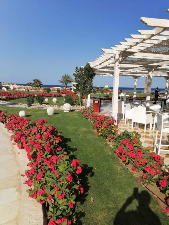 Gartenanlage Gravity Hotel & Aquapark Sahl Hasheesh