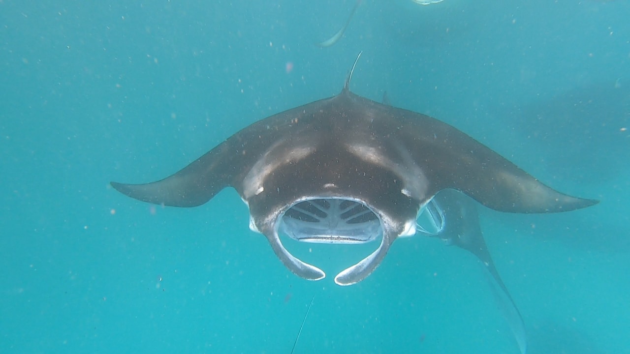 Sport & Freizeit NH Collection Maldives Reethi Resort