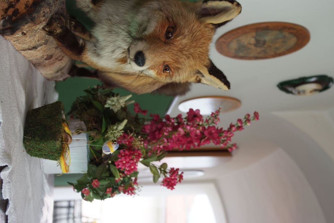 Eingangshalle Gasthof Autzinger