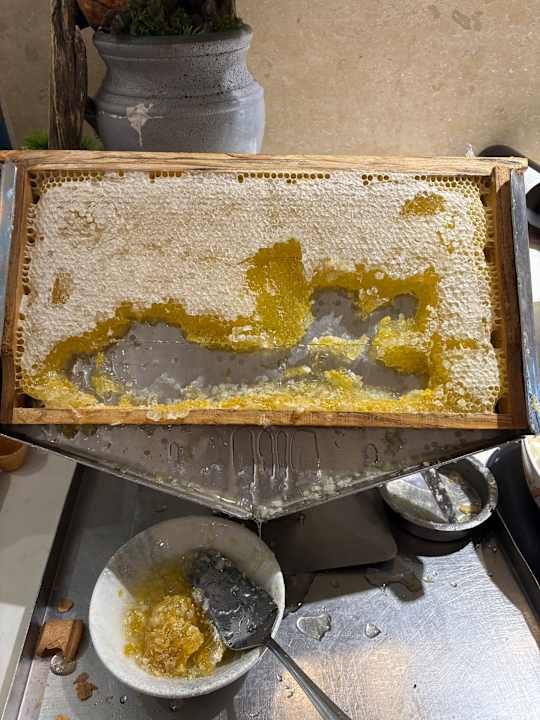 Gastro Rixos Premium Tekirova