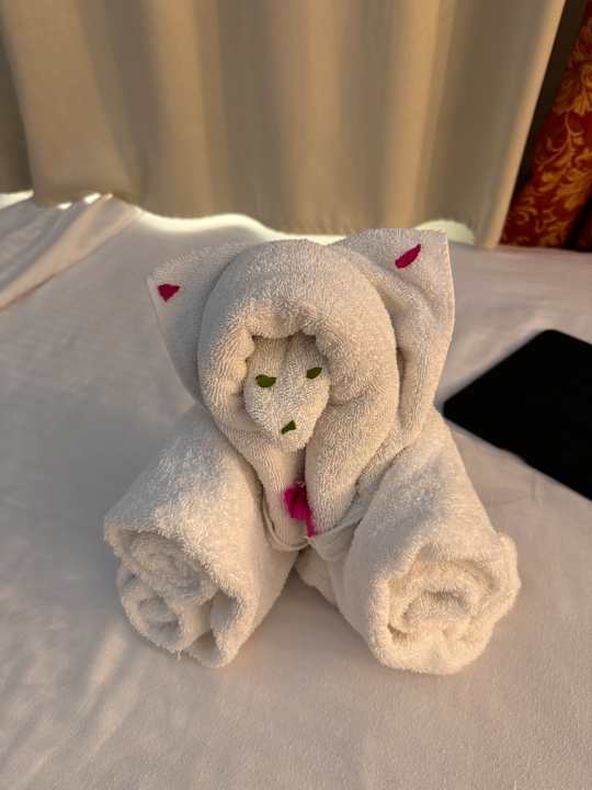 Zimmer Arabella Azur Resort