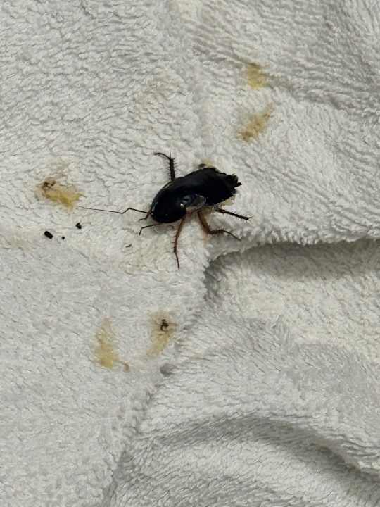 Zimmer Hotel Club Paradiso