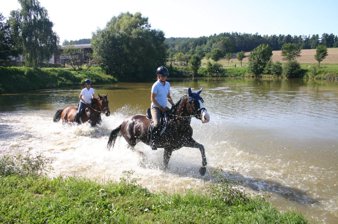 Wellenreiten der ganz anderen Art Kollerhof