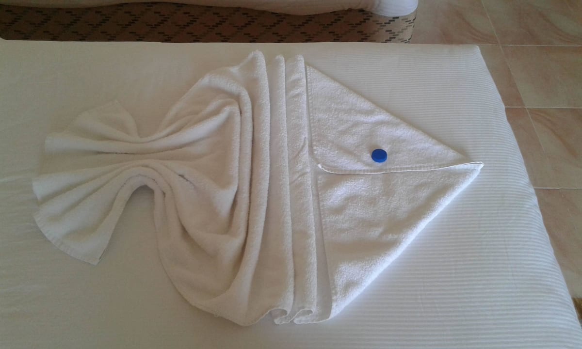Jeden Tag ein anderes Motiv Pickalbatros Alf Leila Wa Leila Resort - Neverland Hurghada