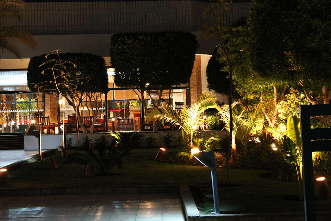 Ein toller Garten... Ghazala Beach