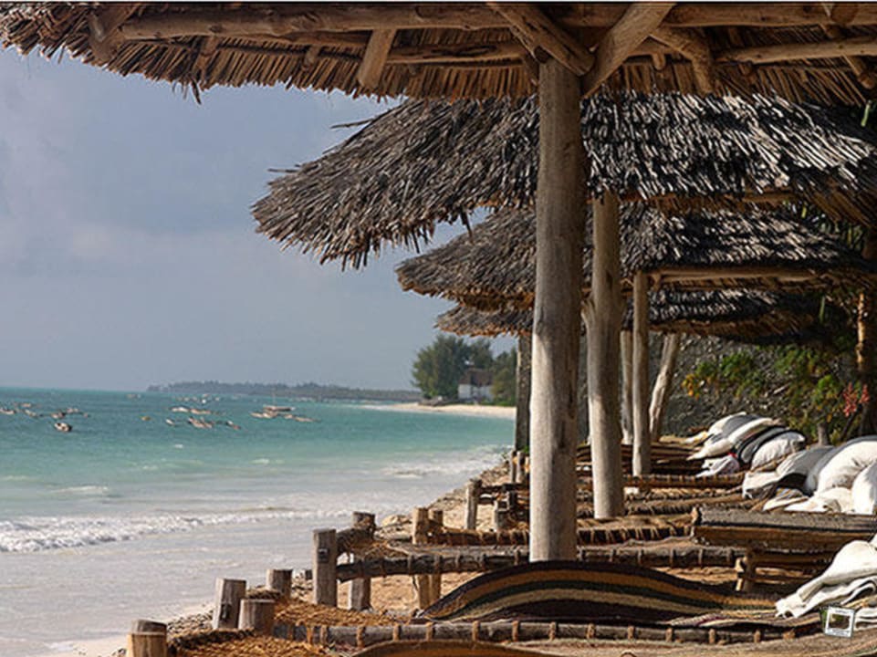 "Gibt es ein schöneres Plä..." Blue Oyster Hotel (Jambiani