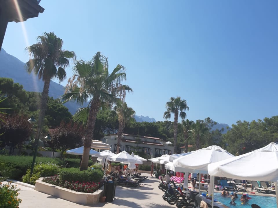 Pool Crystal Flora Pearl Collection